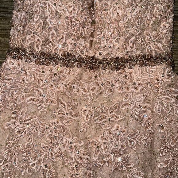 Mac Duggal A79341 Appliqué Sleeveless Plunge Neck Trumpet Blush Gown. Size 2. 17 - Picture 15 of 15